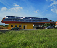 1601 Trockg Holzwurm3