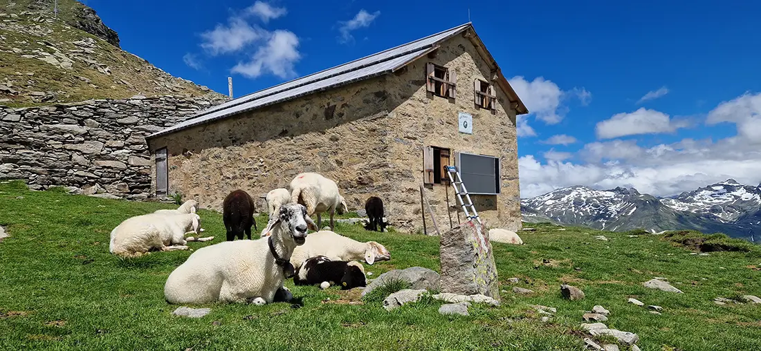 Sonnenwärme und Frischluft für die Alte Prager Hütte