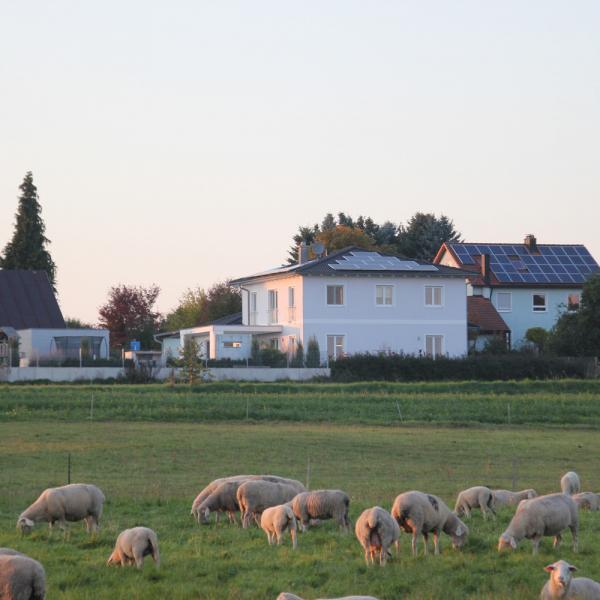 Wohnhaus in Vohenstrauss